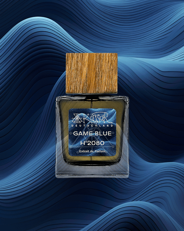 H°2080 Game Blue