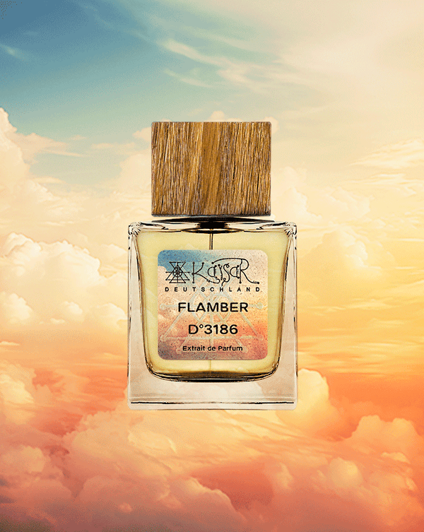 D°3186 Flamber