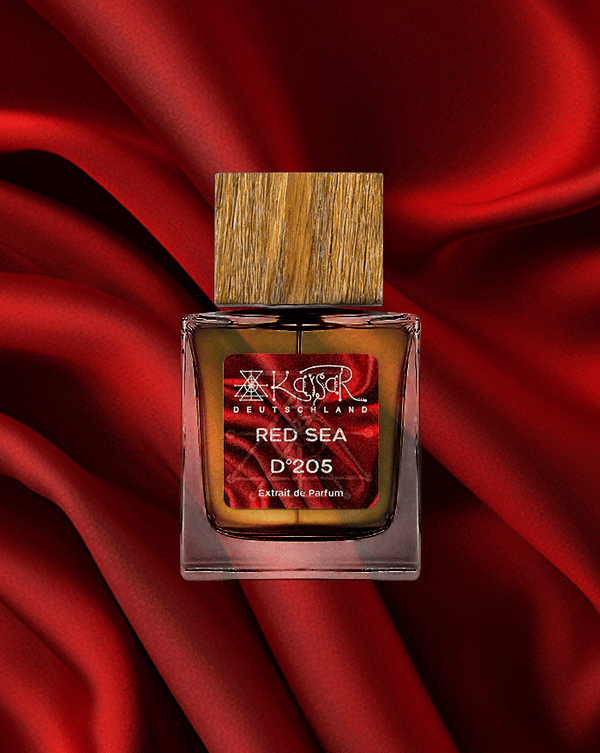 D°205 Red Sea