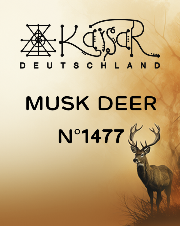 N°1477  Natural Deer Musk Essential oil